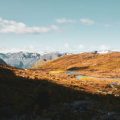 Regionale Herbstfarben: Wo Deutschlands Wälder im Herbst am schönsten leuchten