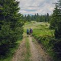 Offline-GPS-Nutzung: Wie bereite ich GPS-Geräte und Kartenmaterial optimal auf deutsche Wanderregionen vor?