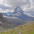 Nationalpark Sächsische Schweiz: Naturschutz, Flora und Fauna