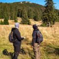 Die gesundheitlichen Vorteile von regelmäßigem Wandern als Ausdauertraining in Deutschland