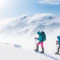 Die Schwarzwälder Höhenwanderwege: Fernwanderungen mit Aussicht