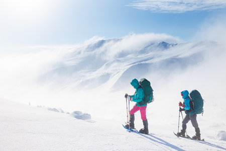 Die Schwarzwälder Höhenwanderwege: Fernwanderungen mit Aussicht