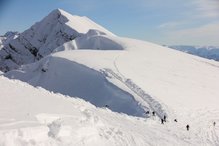 Die schönsten Panoramawanderungen im Schwarzwald: Ein umfassender Überblick