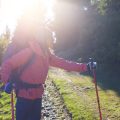 Die schönsten Fernwanderwege in der Rhön: Ein umfassender Guide