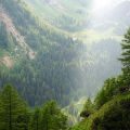 Weinwandern in der Eifel und an der Mosel: Tradition und Genuss
