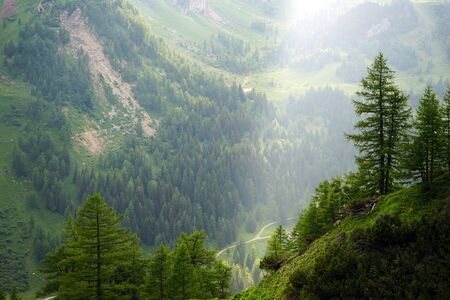 Weinwandern in der Eifel und an der Mosel: Tradition und Genuss