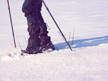 Winterwandern mit Kindern: Abenteuer und Sicherheit vereinen