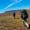 Einheimische Wildtiere entdecken: Verhaltenstipps für verantwortungsbewusste Naturfreunde