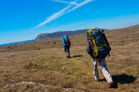Einheimische Wildtiere entdecken: Verhaltenstipps für verantwortungsbewusste Naturfreunde