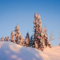 Winterwanderungen im Harz: Mythen und landschaftliche Highlights