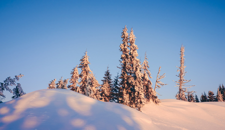Winterwanderungen im Harz: Mythen und landschaftliche Highlights