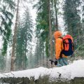 Schlafsäcke und Isomatten: Worauf achten erfahrene Alpinisten?