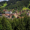 Auf Tuchfühlung mit Rotwild, Wildschwein & Co.: Respektvolle Annäherung in der freien Wildbahn