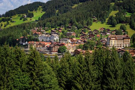Auf Tuchfühlung mit Rotwild, Wildschwein & Co.: Respektvolle Annäherung in der freien Wildbahn