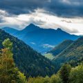 Wandern mit Kindern und Familien im Schwarzwald: Die besten Routen