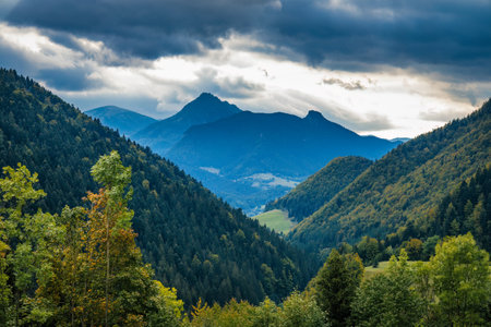 Wandern mit Kindern und Familien im Schwarzwald: Die besten Routen