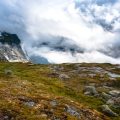 Natur und Landschaft: Die vielseitige Flora und Fauna der Rhön