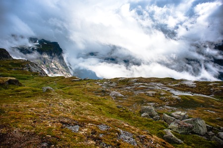 Natur und Landschaft: Die vielseitige Flora und Fauna der Rhön