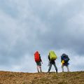 Abenteuer auf dem Pfad: Naturlehrpfade und Entdeckungsreisen für Kinder in Bayern