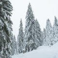 Winterwandern in der Eifel und an der Mosel: Geheimtipps abseits der Saison