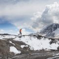 Naturerlebnis im Winter: Tiere und Pflanzen auf Winterwanderungen beobachten