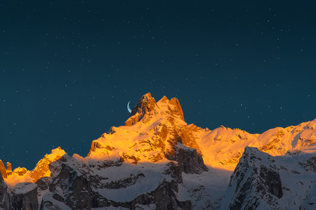 Lichtverschmutzung und nächtliche Wanderungen – Auswirkungen auf Flora und Fauna