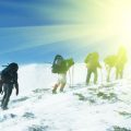 Die besten Apps und Webseiten zur Stellplatzsuche für legales Übernachten in Deutschland